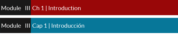 S-02 | Exam Format — Formato del Examen | m03-c01-s02 - AVTI-Online